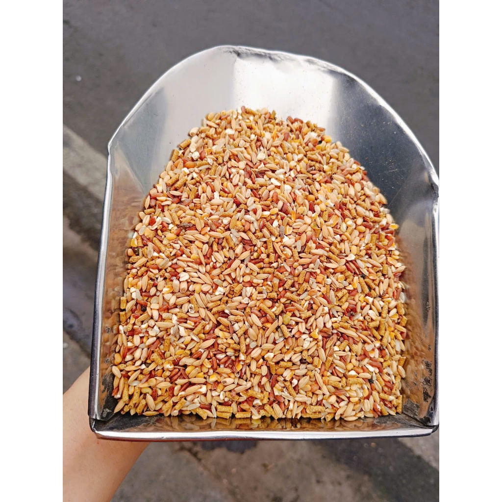 5kg Ngũ cốc xịn xò ( Giá tốt )  cho gà đá, chiến kê, bồ câu, chim, vịt -  nhiều hạt giàu protein, vitamin, khoáng chất