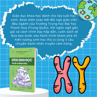 Sách - Combo STEM Toán học - Hóa học - Sinh học - Vật lý dành cho học sinh - Phát triển tư duy logic, khám phá khoa học