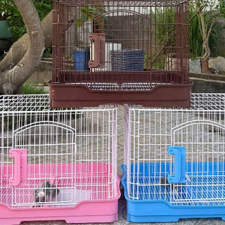 Chuồng petland cao cấp đế nhựa bánh xe - Chuồng Chó - Mèo -  Thỏ - Bọ -Hamster__