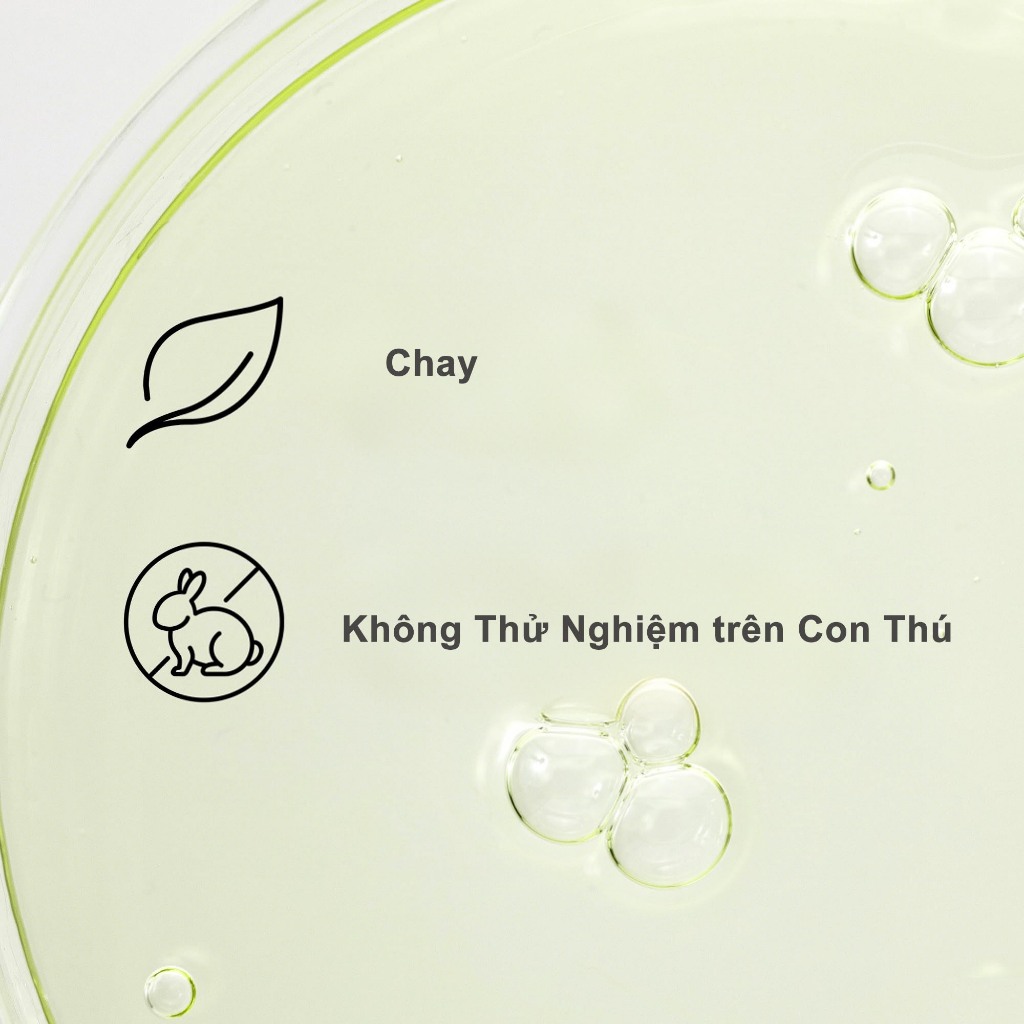 Tinh Chất Chiết Xuất Trà Xanh Beauty Of Joseon Calming Serum Green Tea + Panthenol 30ml
