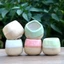Bộ sưu tập chậu trồng cây, trồng sen đá, cắm hoa mini bằng gốm sứ dễ thương