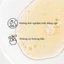Serum nhân sâm Beauty Of Joseon Revive Giseng + Snail Mucin