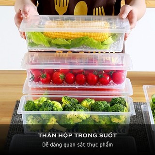 Hộp đựng thực phẩm có khay hứng thoát nước, hộp lưu trữ thức ăn nhựa trắng trong suốt Việt Nhật 6586