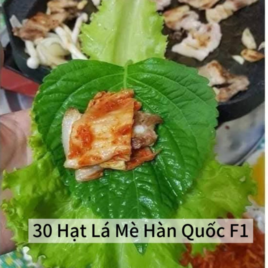 ComBo 12 Loại 💯Hạt Giống Rau Gia Vị ,Chia Lẻ Tiện Dụng