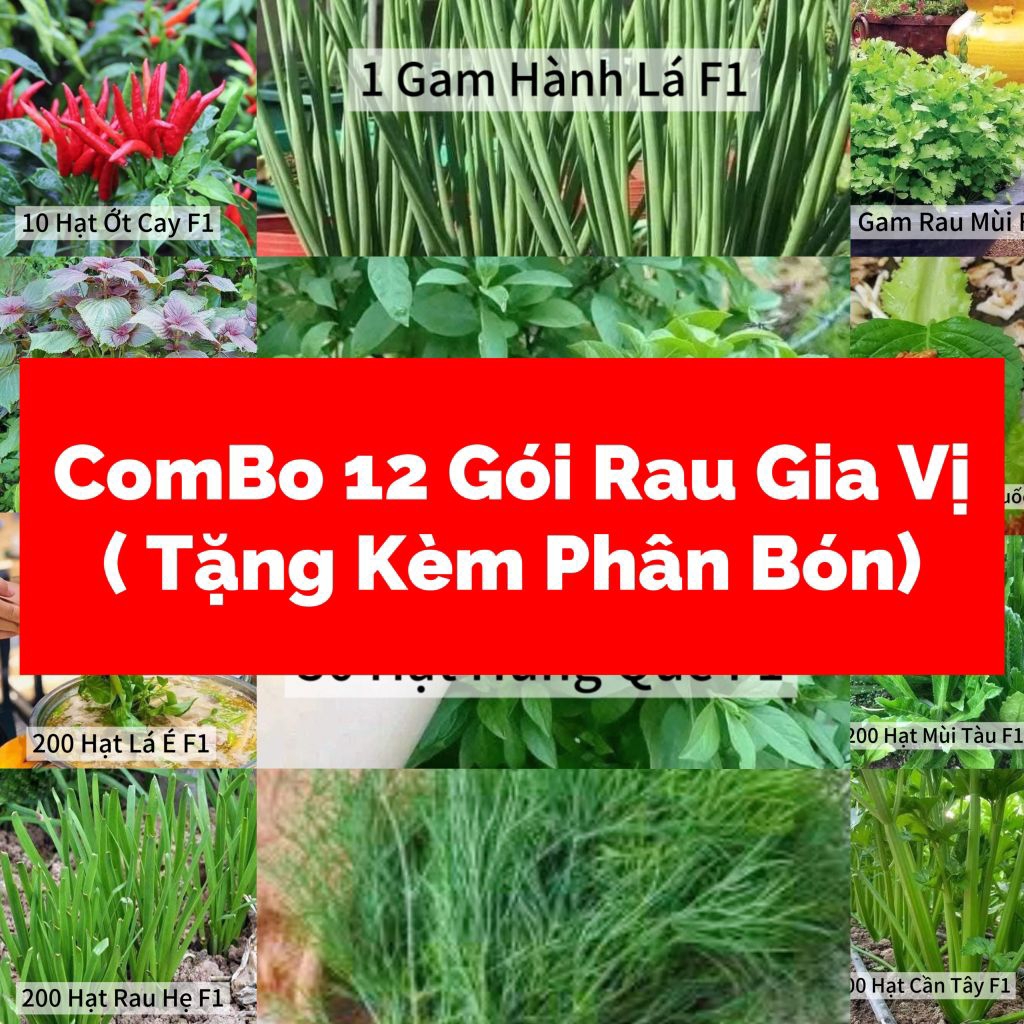ComBo 12 Loại 💯Hạt Giống Rau Gia Vị ,Chia Lẻ Tiện Dụng