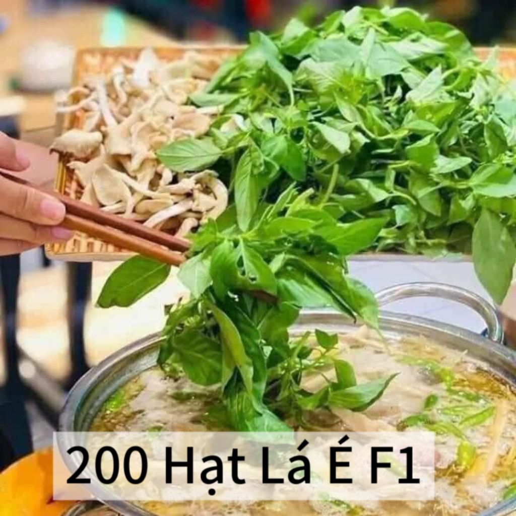 ComBo 12 Loại 💯Hạt Giống Rau Gia Vị ,Chia Lẻ Tiện Dụng