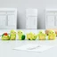 Set 6 rùa chibi mặt cười dễ thương trang trí bàn làm việc, tủ sách, quà tặng