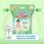 Combo 2 túi tã quần xua muỗi Bobby Antimos 20 miếng – Hàng rào Sả tự nhiên Bye Muỗi 8H - size M/L/XL/XXL