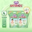 Combo 2 túi tã quần xua muỗi Bobby Antimos 20 miếng – Hàng rào Sả tự nhiên Bye Muỗi 8H - size M/L/XL/XXL