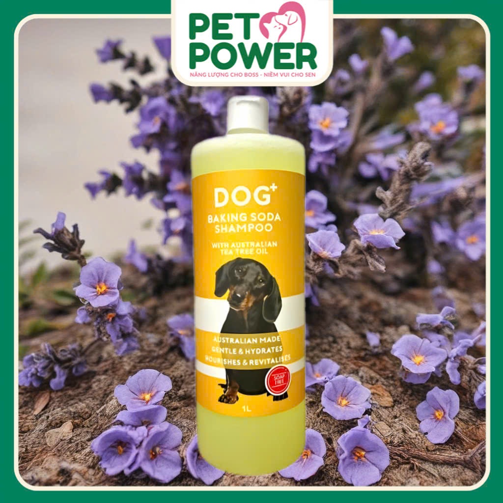 Sữa Tắm Cho Chó Our Dog+ chính hãng Úc - Chai 1L