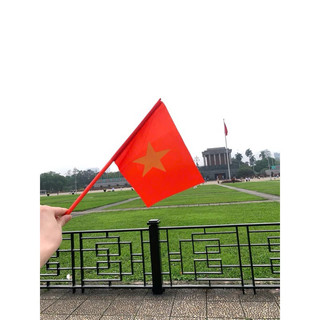 [GIAO NGẪU NHIÊN CÁN ĐỎ/ VÀNG] 100 50 chiếc cờ vẫy 1 mặt 2 mặt  cờ Tổ quốc Cờ đỏ sao vàng mừng 2/9 khai giảng