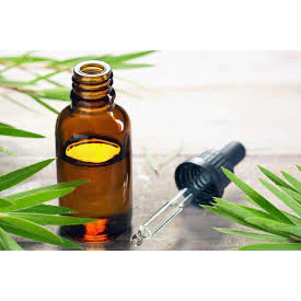 TINH DẦU TRÀM GIÓ (CAJEPUT ESSENTIAL OIL - PHÁP)🌿 50mL 100mL