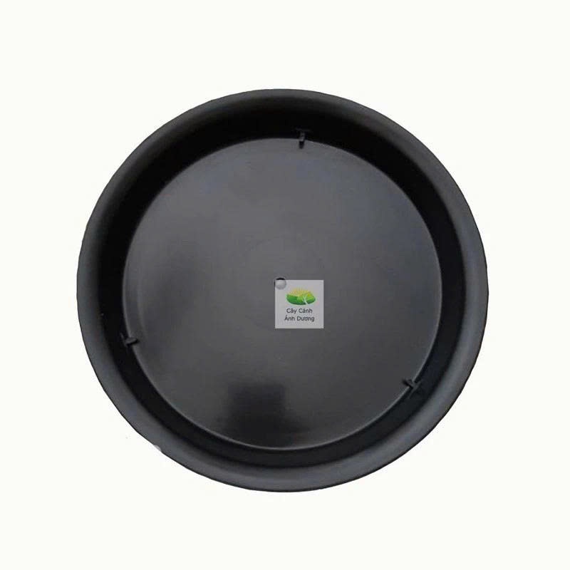 Đĩa lót size to chậu nhựa phi 40-45cm có màu trắng và đen