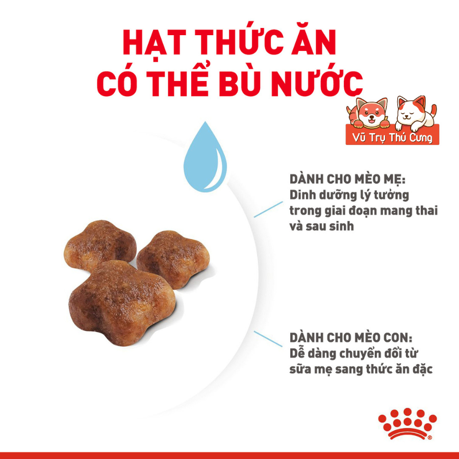 Hạt Cho Mèo Royal Canin Kitten, MotherBabycat, Indoor, Fit32, Hairball - Tặng Cần Câu CattyMan