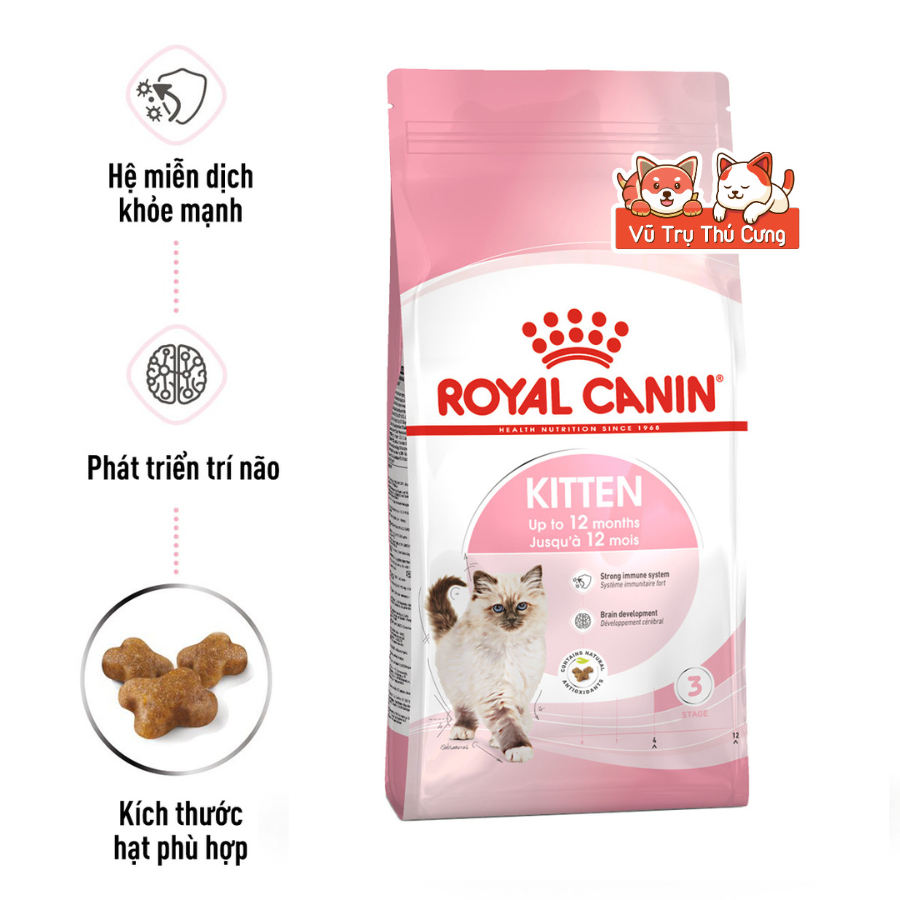 (Túi chiết) Thức Ăn Hạt Royal Canin Kitten Cho Mèo Con