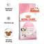 Thức Ăn Hạt Royal Canin Kitten Cho Mèo Con