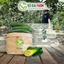 Bơ 034 Size 3-4-5 trái/kg Tây Nguyên Vũ Gia Farm - bơ sạch nhà trồng, thu hoạch trực tiếp