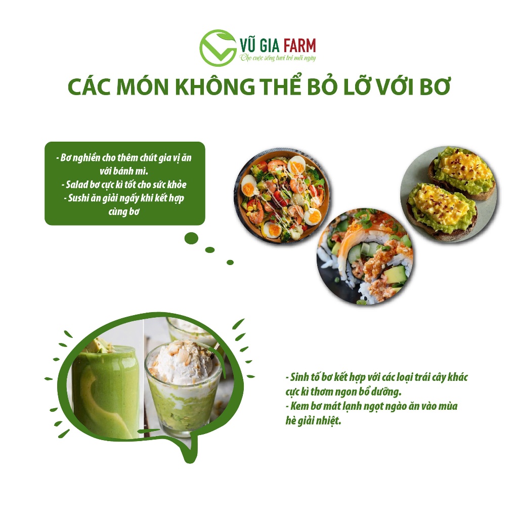 [TOÀN QUỐC SIZE NHỎ] Bơ 034 Size 3-4-5 trái/kg Tây Nguyên Vũ Gia Farm - bơ sạch nhà trồng, thu hoạch trực tiếp