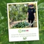 Bơ 034 Size 3-4-5 trái/kg Tây Nguyên Vũ Gia Farm - bơ sạch nhà trồng, thu hoạch trực tiếp