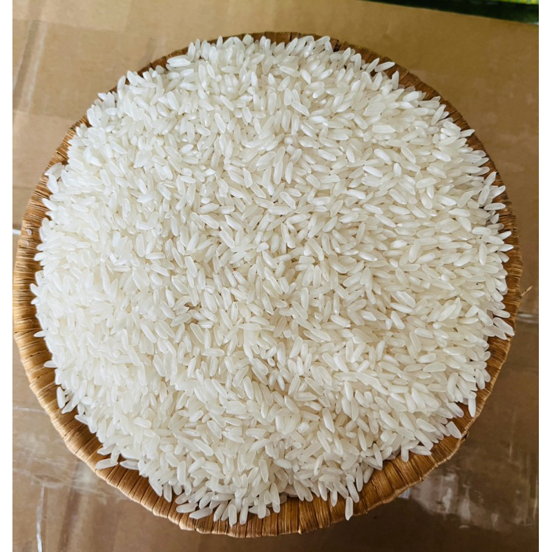 10 Kg Gạo 504 Nở Xốp Mềm Cơm | Shopee Việt Nam