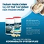 Viên Tinh Chất Hàu Goodhealth Oyster Plus Tăng Cường Sinh Lý, Sinh Sản Cho Nam 60 Viên [CHÍNH HÃNG]