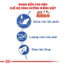 Thức ăn hạt cho Mèo trưởng thành Royal Canin Indoor 2Kg