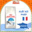 Thức ăn hạt cho Mèo trưởng thành Royal Canin Indoor 2Kg