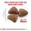 Thức ăn hạt cho Mèo trưởng thành Royal Canin Indoor 2Kg