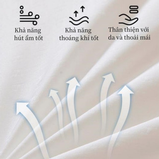 ruột gối chống ve kháng khuẩn mùa hè polyester bền đẹp hỗ trợ cổ không xẹp lún