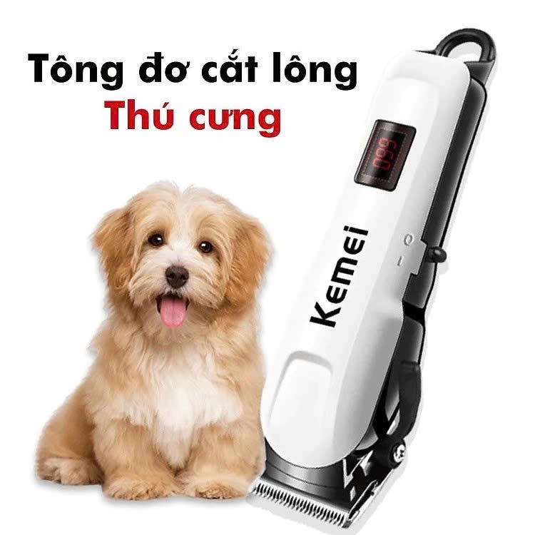 Tông Đơ Cắt Tỉa Lông Chó Mèo KM-809A, Máy Cạo Lông Chó Tiếng Ồn Thấp, Bộ Phụ Kiện Chăm Sóc Thú Cưng