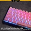 Keycap topographic 4.0 Sakura xuyên led vân gradient nhựa pbt dùng cho bàn phím cơ