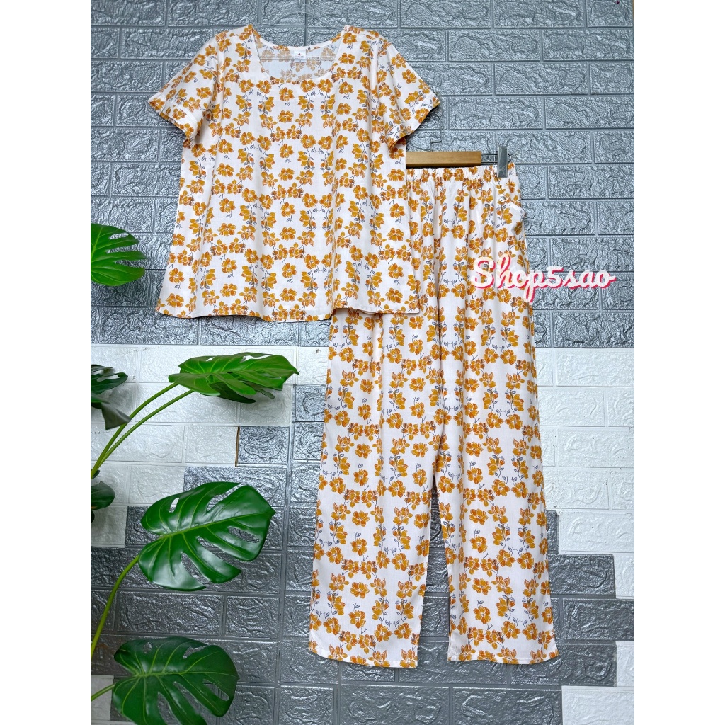 Mẫu 25