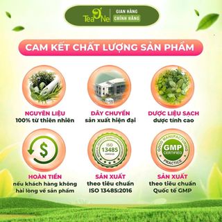 Trà Kim Tiền Thảo Râu Mèo Mộc Tâm Chuẩn ISO - Hộp 30 Túi Lọc Hỗ Trợ Thận Yếu, Sỏi Thận, Lợi Tiểu