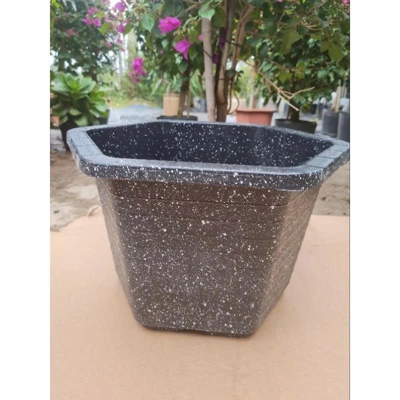 combo 5 chậu nhựa thông cây FA480 cao 25 cm x rộng 40cm