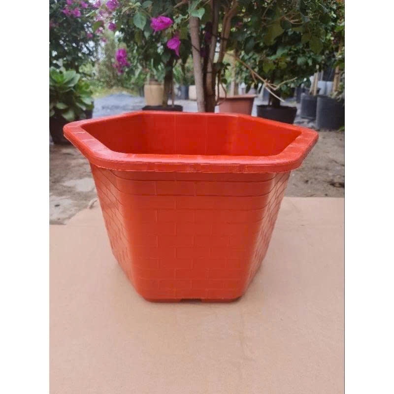 combo 5 chậu nhựa thông cây FA480 cao 25 cm x rộng 40cm