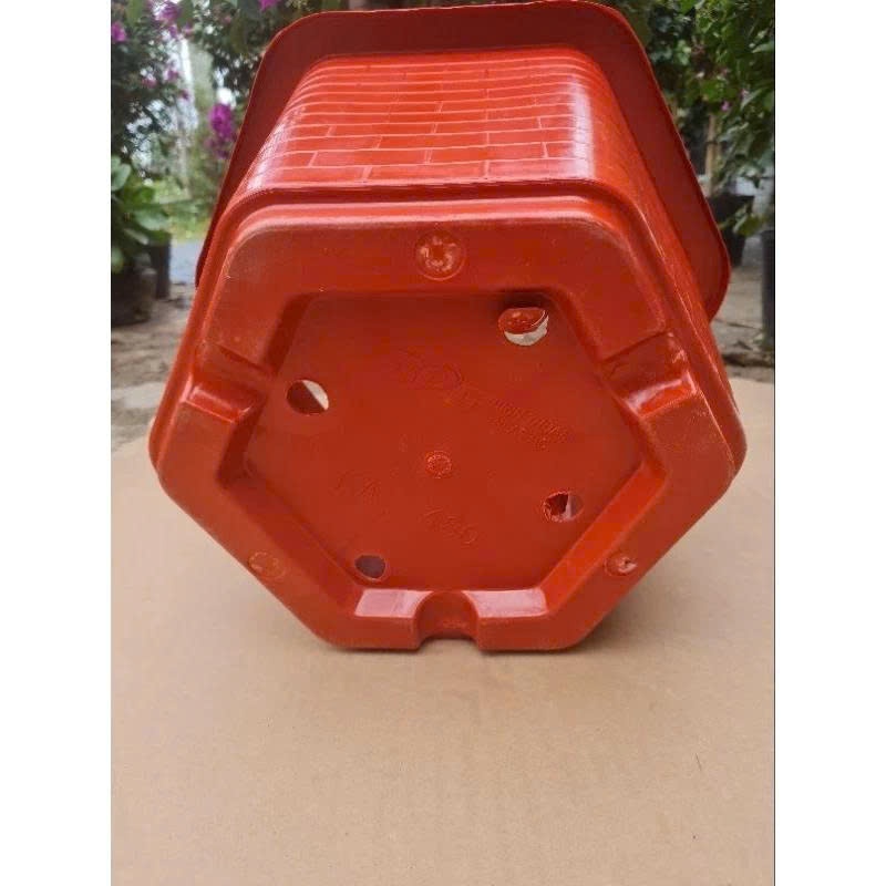 Chậu nhựa trồng cây lục giác FA380 cao 21 cm x rộng 33cm màu đỏ gạch siêu đẹp