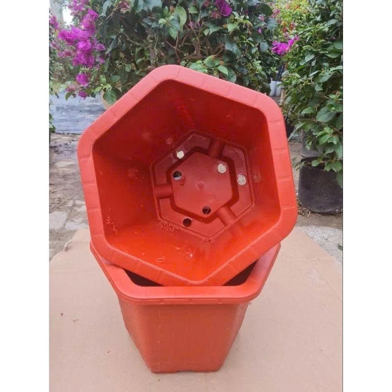 combo 5 chậu nhựa thông cây FA480 cao 25 cm x rộng 40cm