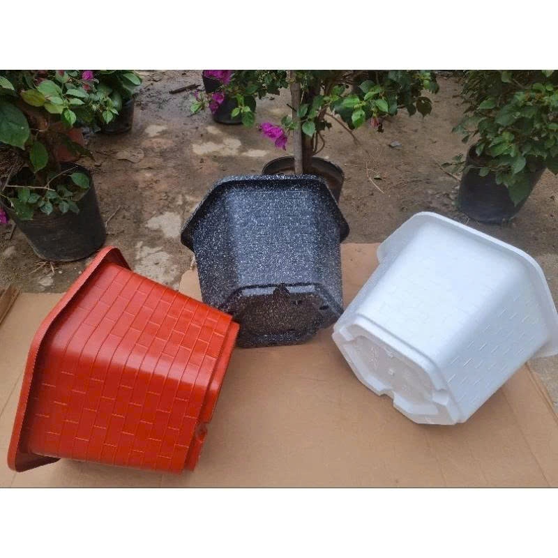 combo 5 chậu nhựa thông cây FA480 cao 25 cm x rộng 40cm