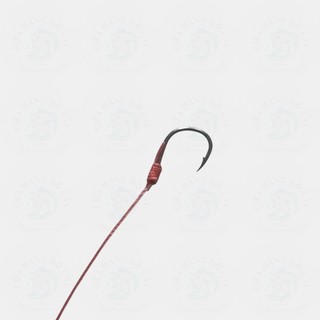 Lăng Xê Chép BIG CARP Tóm Sẵn 5 Lưỡi