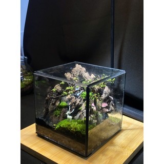 Terrarium " Vườn địa đàng " quà tặng ý nghĩa  ( Valentine, sinh nhật, anniversary,...)