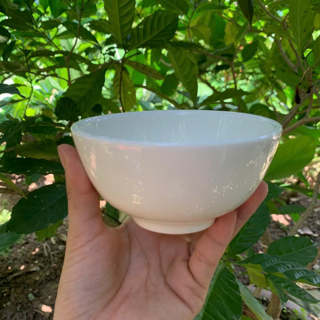 combo 6  Bát ăn cơm trắng trơn đẹp rẻ