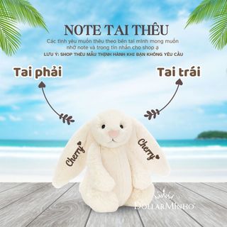 ( Thêu tên ) Thỏ Bông Thêu Tên Size 25cm Cá Nhân Hóa Theo Yêu Cầu, Quà Tặng Cho Bé, Và Người Thương