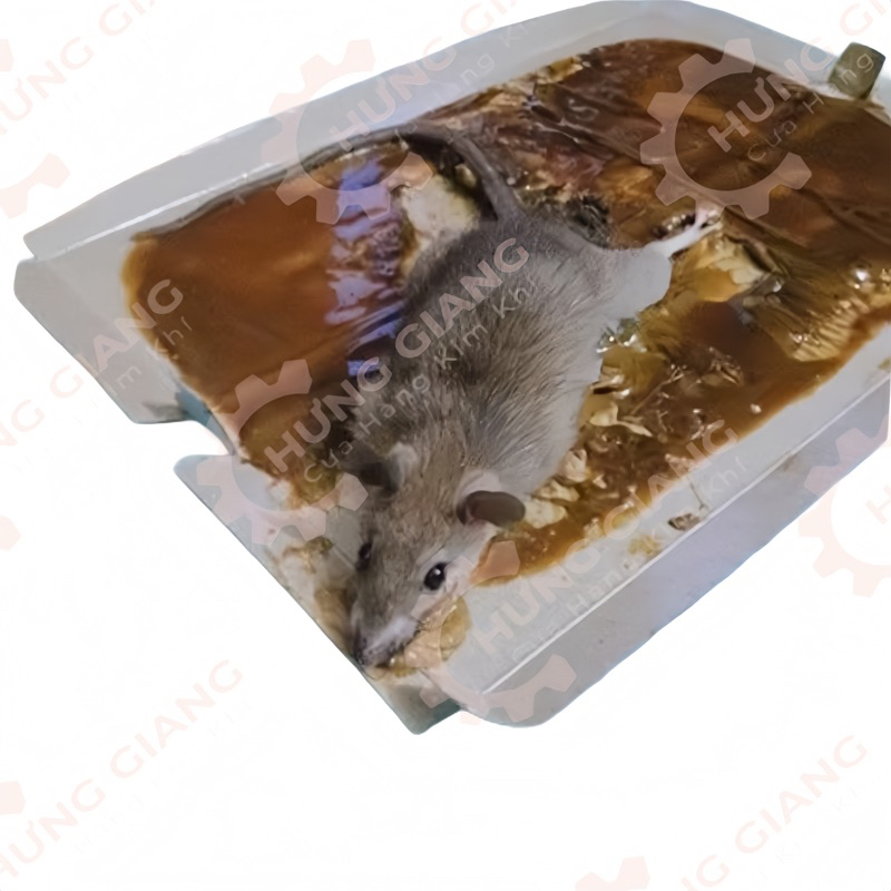 Keo Dính Chuột Siêu Dính Cao Cấp, Diệt Chuột Mọi Nơi