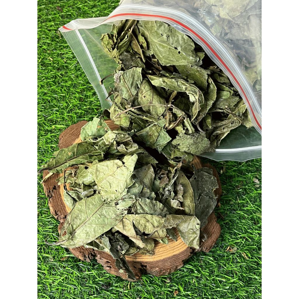 xạ đen hỗ trợ làm giảm các triệu chứng của viêm mãn tính