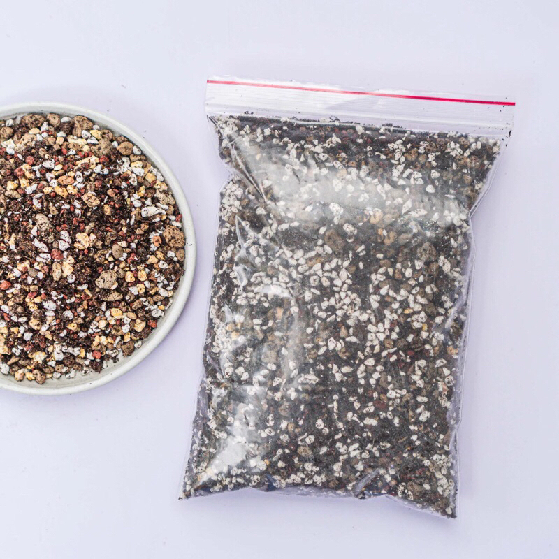 Đất trồng sen đá,xương rồng cao cấp,giá thể trộn dành chuyên dùng send đá và xương rồng