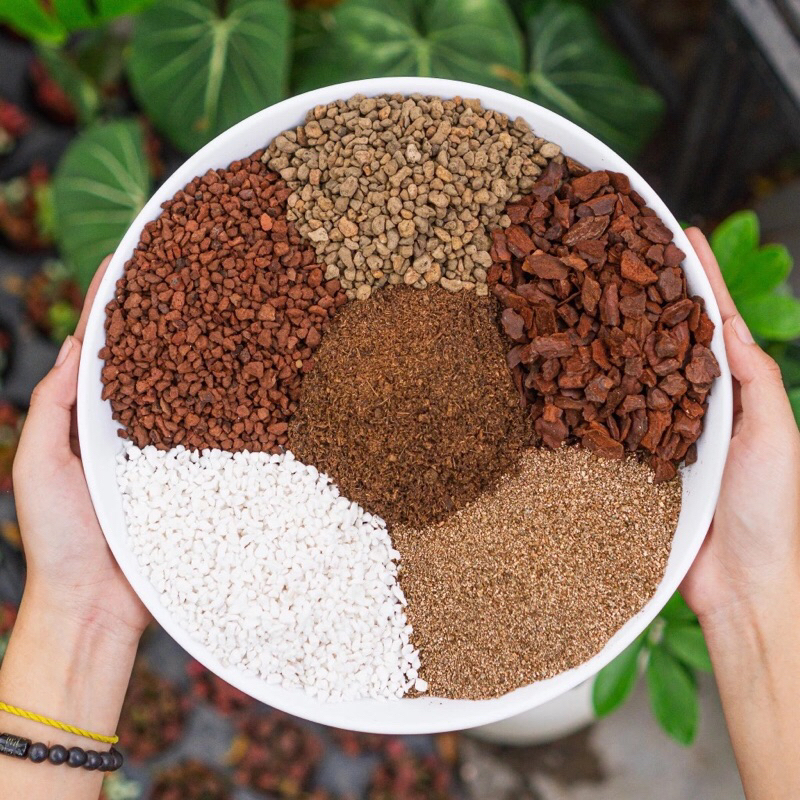 Đất trồng sen đá,xương rồng cao cấp,giá thể trộn dành chuyên dùng send đá và xương rồng