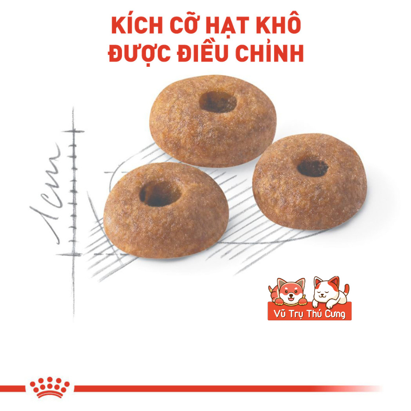 Hạt Royal Canin Fit 32 Dành Cho Mèo Trưởng Thành