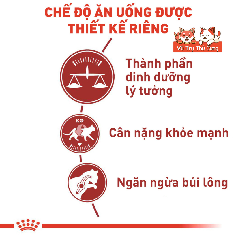 Hạt Royal Canin Fit 32 Dành Cho Mèo Trưởng Thành