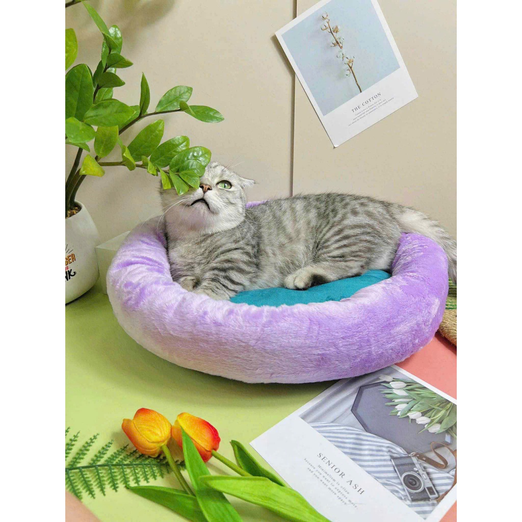 Nệm Nhung Tròn Cho Chó Mèo Đường Kính 40cm