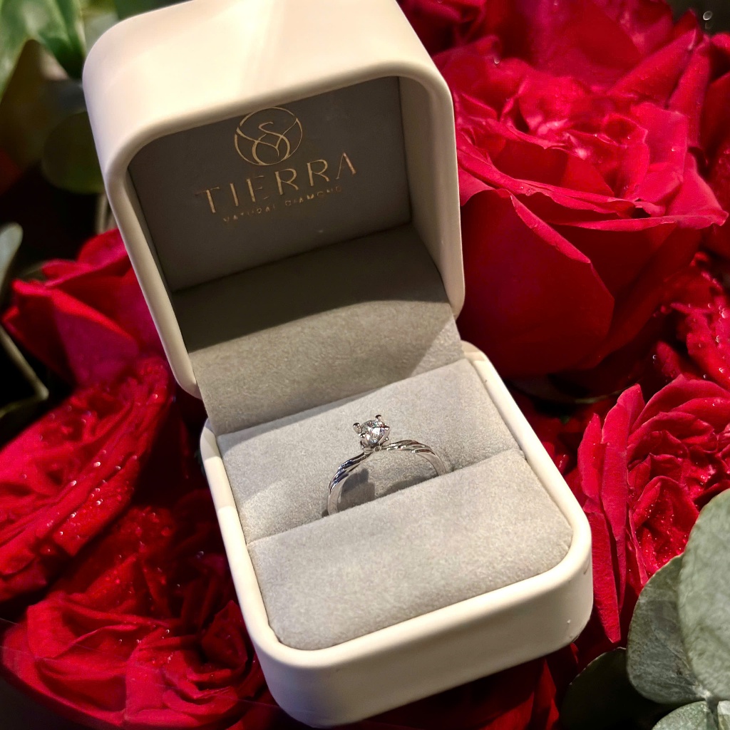 [CHAT TRƯỚC KHI ĐẶT] Nhẫn Cầu Hôn Tierra NCH1317 Vàng 14K 18K, Tấm CZ/ KC, Thiết Kế Sang Trọng Tinh Tế, Nhẫn Hẹn Ước